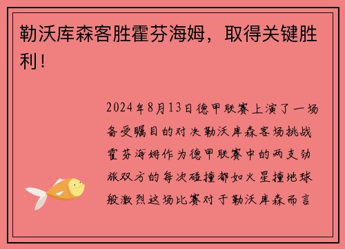 勒沃库森客胜霍芬海姆，取得关键胜利！